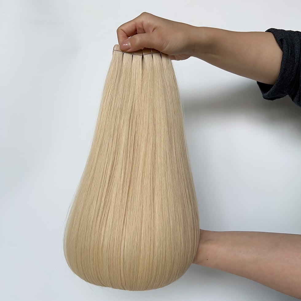 Tape-in Hair Extensions #22
