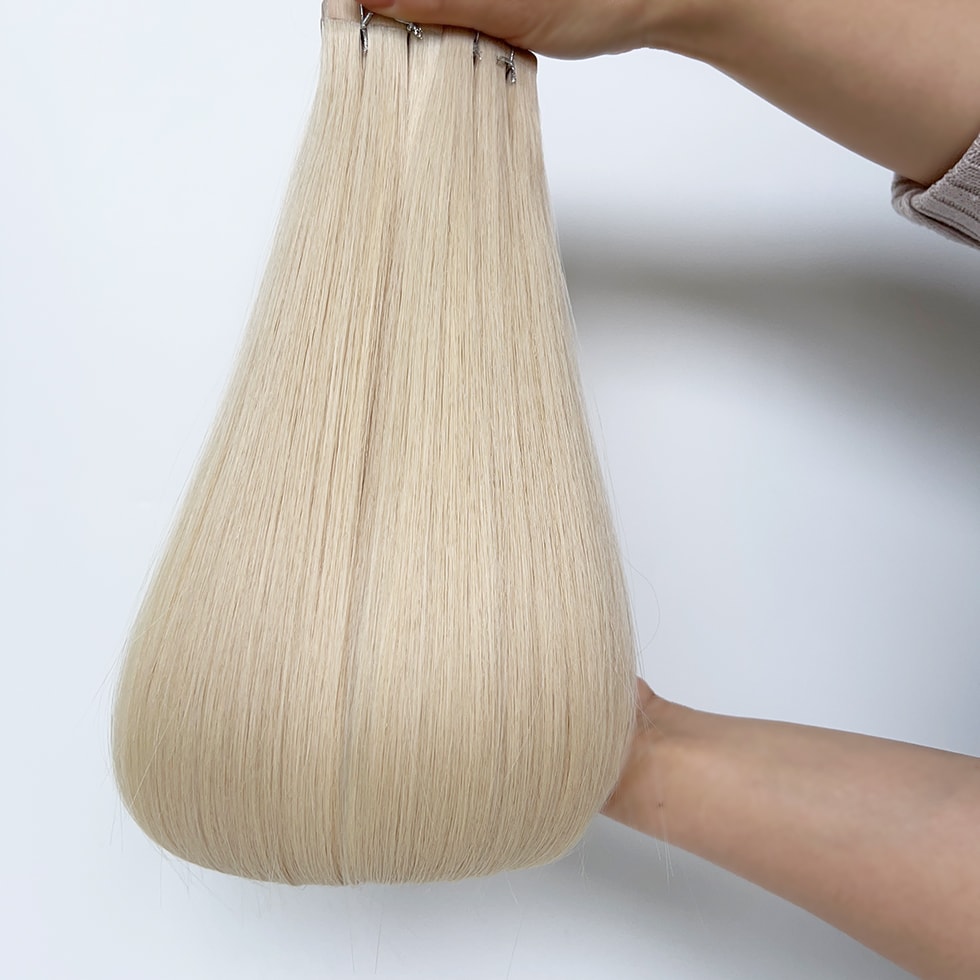 Tape-in Hair Extensions #60